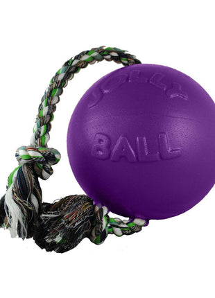 Jolly Pets Romp-n-Roll
