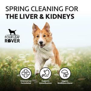 Four Leaf Rover Liver/Kidney Clean