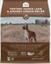 Open Farm Ancient Grains Lamb
