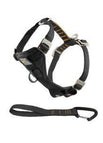 Medium (25-50 lbs)