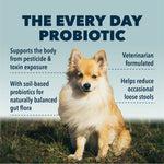Four Leaf Rover Protect - Soil Based Probiotics