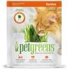 Pet Greens Bellrock Self Grow Garden Cat Grass