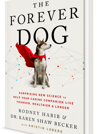 The Forever Dog
