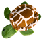 Snugarooz Sheldon the Turtle