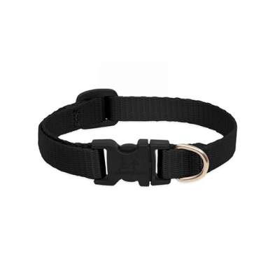 Lupine Basics Adjustable Collar