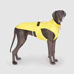 Canada Pooch Grow With Me Raincoat YELLOW