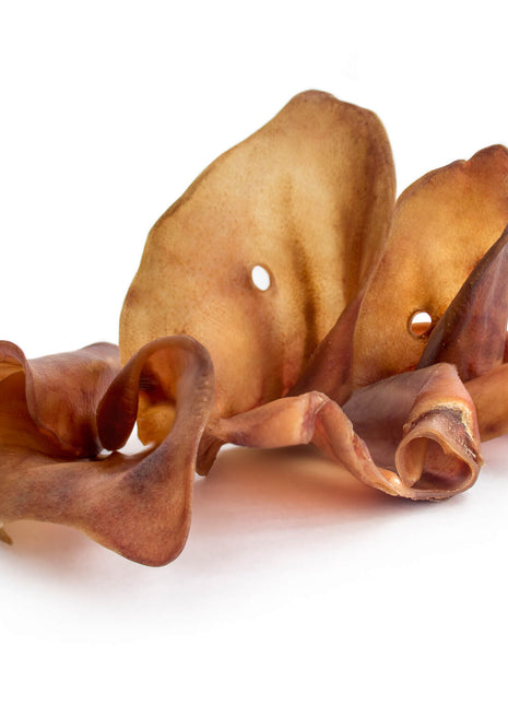 Pigs Ear