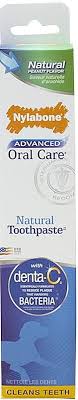 Nylabone Toothpaste Natural Peanut Flavour
