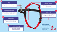 Halti Front Control Harness (Assorted Sizes)