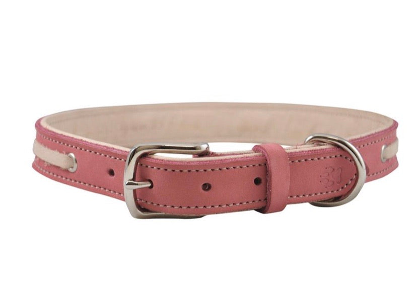 Shedrow K9 Banyon Leather Collar Red (Assorted Sizes)