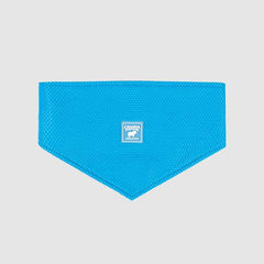 Collection image for: Dog Apparel
