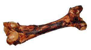 Open Range Cured Beef Dino Bone