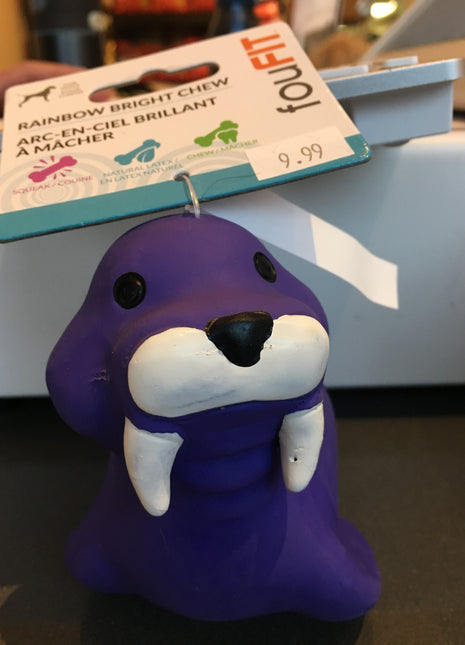 FouFit Rainbow Bright Walrus