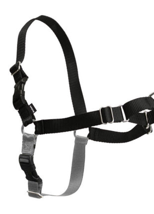 PetSafe Easy Walk Harness Black (Assorted Sizes)