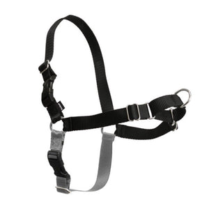 PetSafe Easy Walk Harness Black (Assorted Sizes)