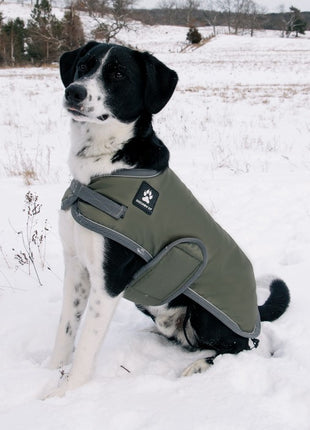 Shedrow K9 Tundra Coat Deep Lichen Green