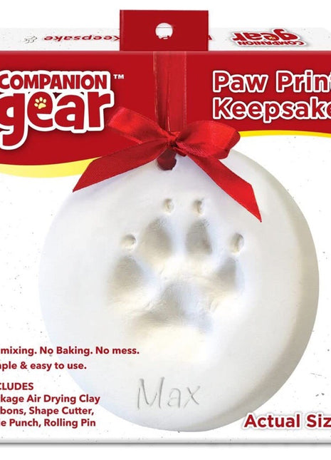 Paw Print Keepsake Ornament Kit
