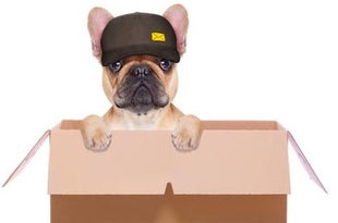 Local Delivery